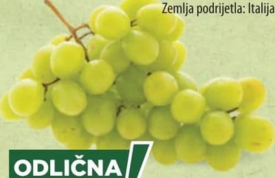 Grožđe bijelo