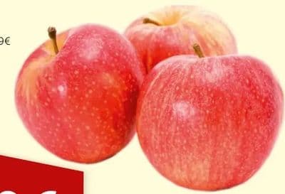 Paprika roga crvena