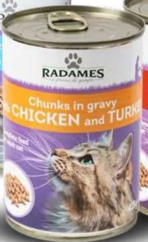 RADAMES CHUNKS IN GRAVY WITH GAME