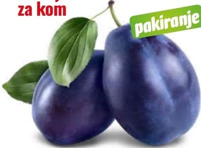 Šljiva