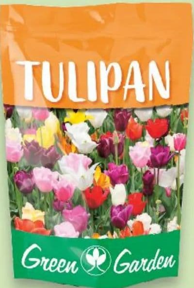 Green Garden Lukovice cvijeća Tulipani