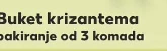 Buket krizantema