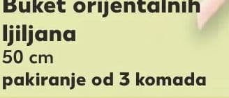 Buketi orijentalnih ljiljana