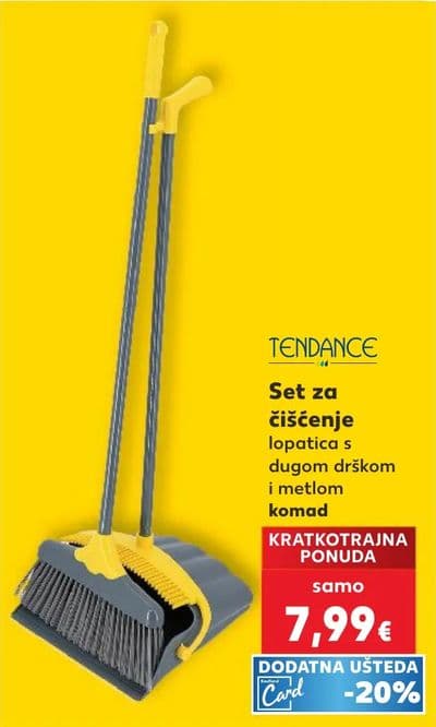 TENDANCE Set za čišćenje lopatica s dugom drškom i metlom