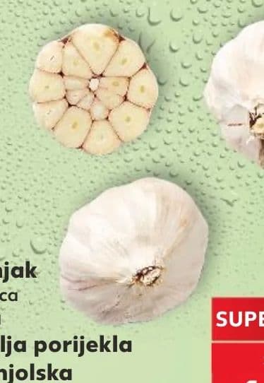 Bršljan u tegli promjera 9 cm