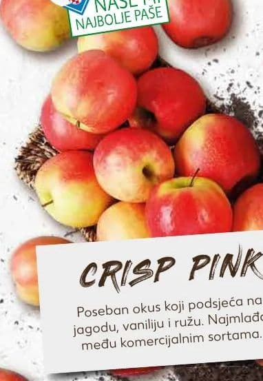CRISIP PINK