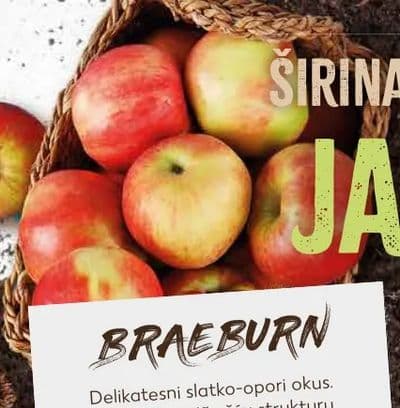 BRAEBURN