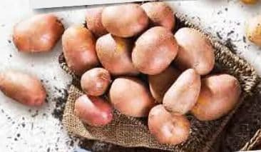 krumpir crveni za prženje i pomfrit