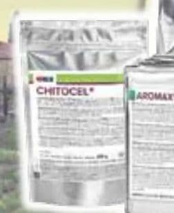 AEB CHITOCEL