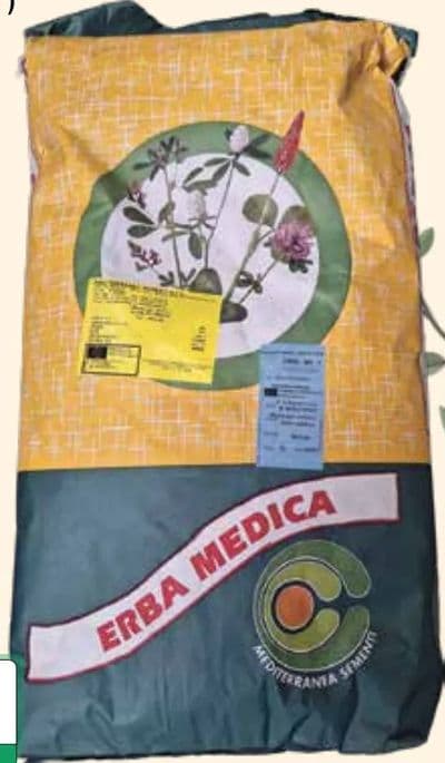 MEDITERRA Lucerna