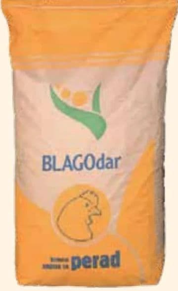 BLAGOdAR PPT-1-21%