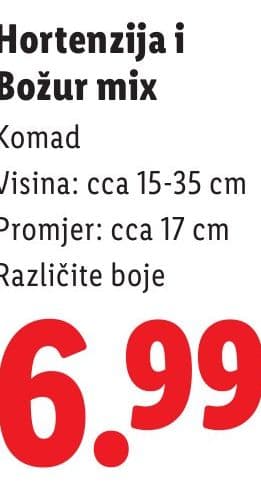 Hortenzija i Božur mix