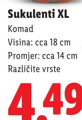 Sukulenti XL