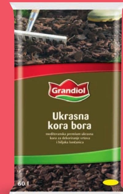 Grandi-ol Ukrana kora bora