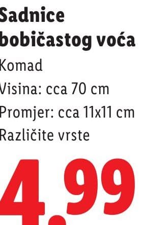 Sadnice bobičastog voća