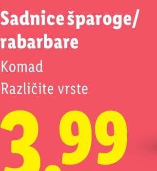 Sadnice šparoge/ rabarbare