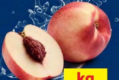 Nektarina