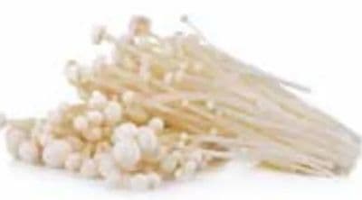 ENOKI GLJIVE