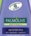 PALMOLIVE Šampon za kosu protiv prhuti, 2u1 All Hair Types