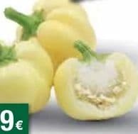 Paprika Paradajzerica