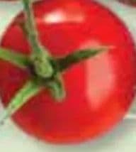 Rajčica Grappolo