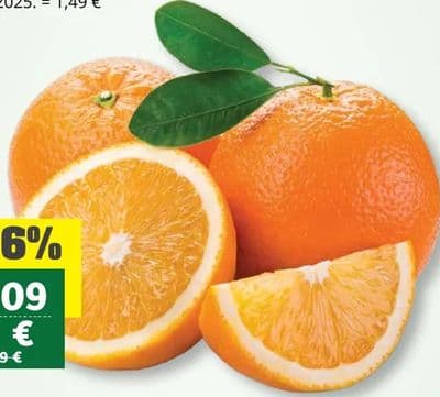Luk Ljubičasti