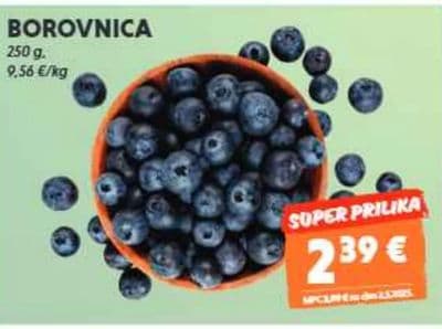 BOROVNICA