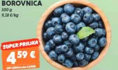 Borovnica