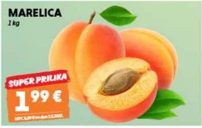 MARELICA