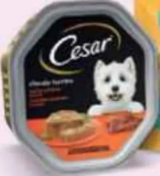 Cesar Cesar