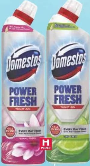 Domestos Sredstvo za čišćenje WC školjke