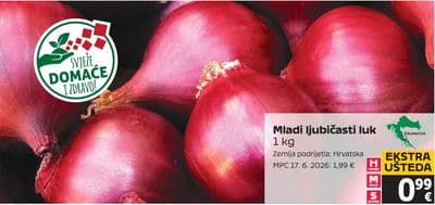 Mladi ljubičasti luk