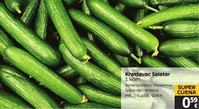 Krastavac Salatar