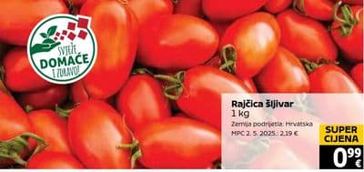 Rajčica šljivar