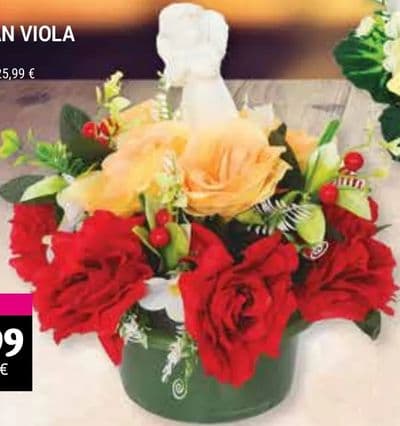 MICAK ARANŽMAN VIOLA