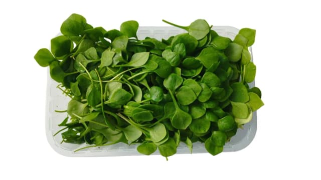 200G POTOČARKA