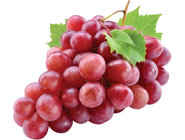 STOLNO GROŽĐE CRVENO