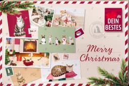 DB advent. kalendar mačka 2026 1 kom.