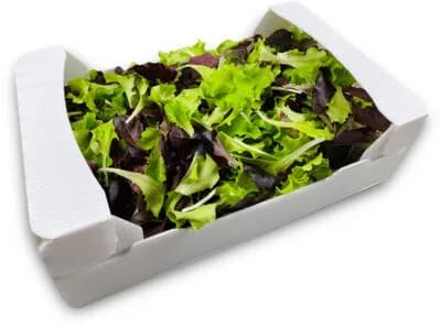 ZELENA SALATA 250g
