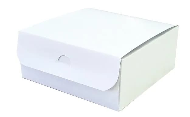 10/1 KUT KOLAČ L 20X20X8,5 BIJ.