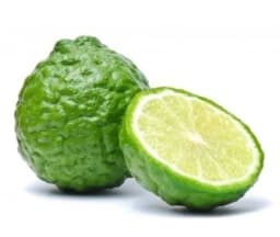 500G KVRGAVA LIMETA