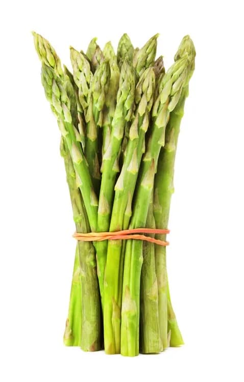 200G MINI ŠPAROGA ZELENA