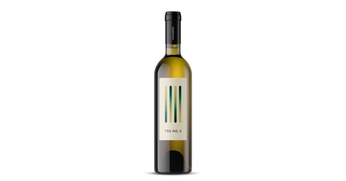 *GRAŠEVINA TRS No. 5 ENOSOPHIA ZOI SUHO 2024 -6/1-