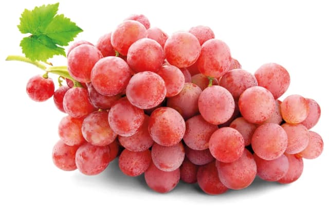 GROŽĐE ROSE rfz