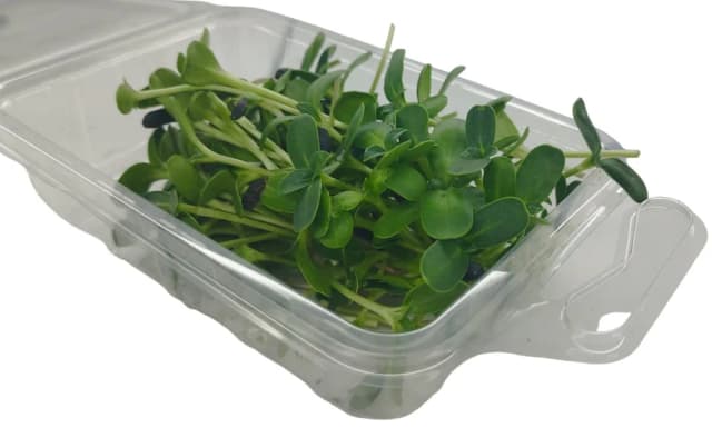 30G MICROGREENS SUNCOKRET