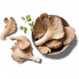 Bukovače 500g
