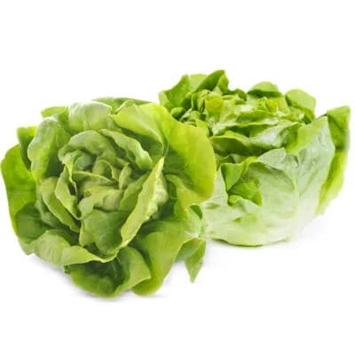 SALATA PUTERICA (kom)