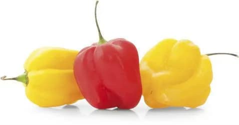 50G CHILLI HABANERO MIX