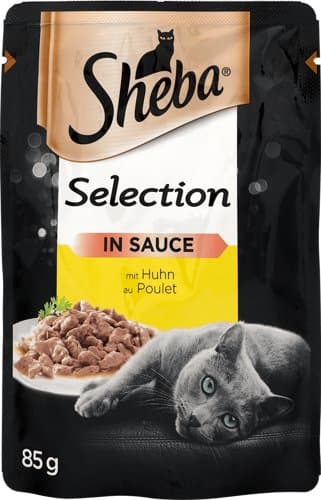 Sheba Piletina u umaku