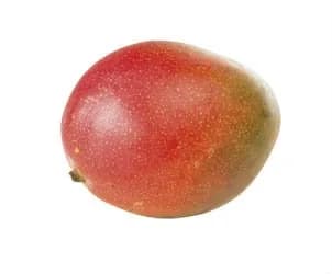 MANGO BY AIR - KOM
